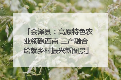 会泽县：高原特色农业领跑西南 三产融合绘就乡村振兴新图景