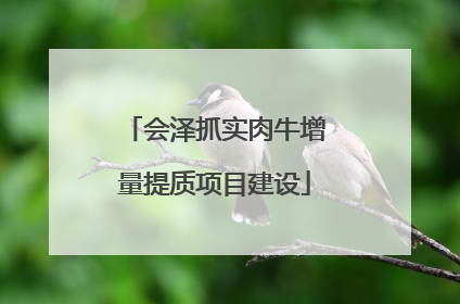 会泽抓实肉牛增量提质项目建设