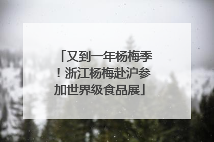 又到一年杨梅季！浙江杨梅赴沪参加世界级食品展