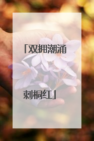 双拥潮涌刺桐红
