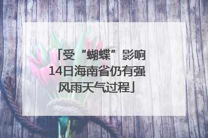 受“蝴蝶”影响 14日海南省仍有强风雨天气过程