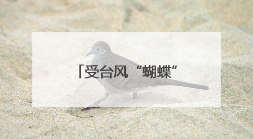 受台风“蝴蝶”影响 海南三大机场取消多个航班