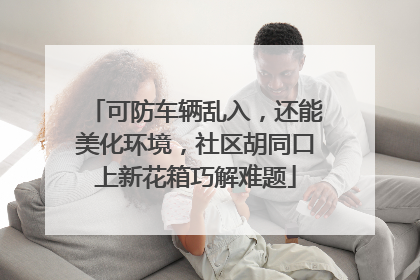 可防车辆乱入，还能美化环境，社区胡同口上新花箱巧解难题