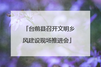台前县召开文明乡风建设现场推进会