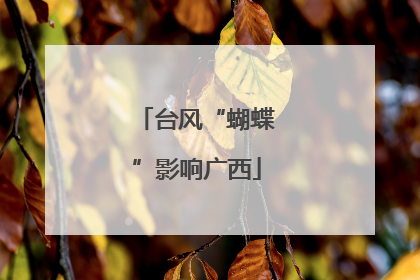 台风“蝴蝶”影响广西
