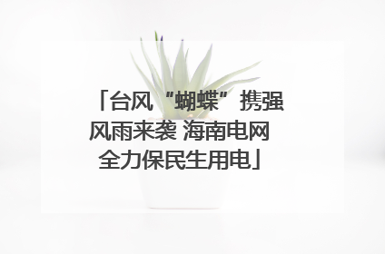 台风“蝴蝶”携强风雨来袭 海南电网全力保民生用电