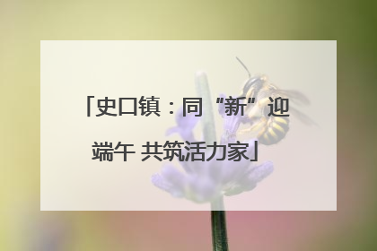 史口镇：同“新”迎端午 共筑活力家