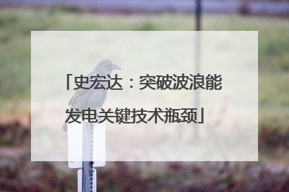 史宏达：突破波浪能发电关键技术瓶颈