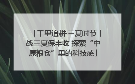 千里追耕·三夏时节丨战三夏保丰收 探索“中原粮仓”里的科技感