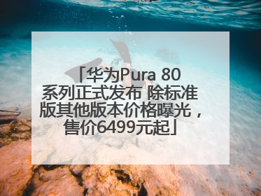 华为Pura 80系列正式发布 除标准版其他版本价格曝光，售价6499元起