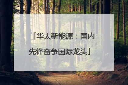 华太新能源：国内先锋奋争国际龙头