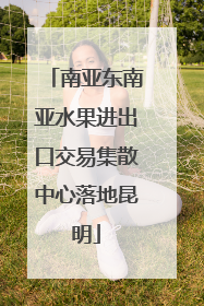 南亚东南亚水果进出口交易集散中心落地昆明