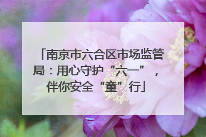 南京市六合区市场监管局：用心守护“六一”，伴你安全“童”行