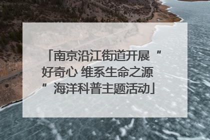 南京沿江街道开展“好奇心 维系生命之源”海洋科普主题活动