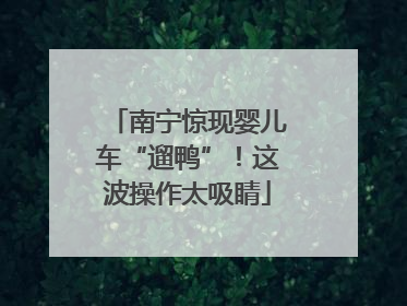 南宁惊现婴儿车“遛鸭”！这波操作太吸睛