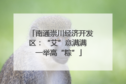 南通崇川经济开发区：“艾”意满满 一举高“粽”
