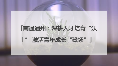 南通通州：深耕人才培育“沃土” 激活青年成长“磁场”
