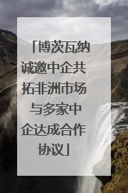 博茨瓦纳诚邀中企共拓非洲市场 与多家中企达成合作协议