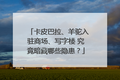 卡皮巴拉、羊驼入驻商场、写字楼 究竟暗藏哪些隐患？