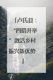 卢氏县：“四措并举”激活乡村振兴新优势