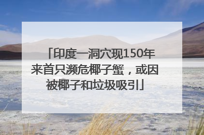 印度一洞穴现150年来首只濒危椰子蟹，或因被椰子和垃圾吸引