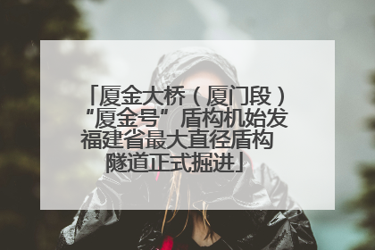 厦金大桥（厦门段）“厦金号”盾构机始发 福建省最大直径盾构隧道正式掘进