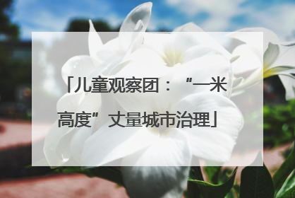儿童观察团：“一米高度”丈量城市治理