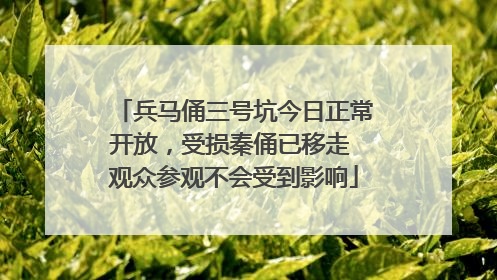 兵马俑三号坑今日正常开放，受损秦俑已移走 观众参观不会受到影响