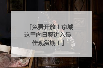 免费开放！京城这里向日葵进入最佳观赏期！