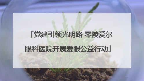 党建引领光明路 零陵爱尔眼科医院开展爱眼公益行动