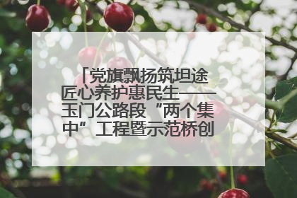 党旗飘扬筑坦途 匠心养护惠民生——玉门公路段“两个集中”工程暨示范桥创建项目圆满收官