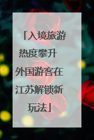 入境旅游热度攀升 外国游客在江苏解锁新玩法