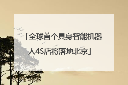 全球首个具身智能机器人4S店将落地北京