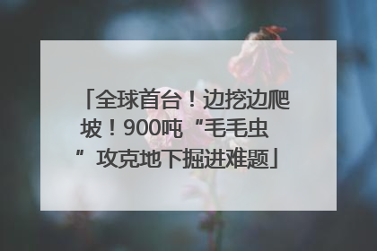 全球首台！边挖边爬坡！900吨“毛毛虫”攻克地下掘进难题