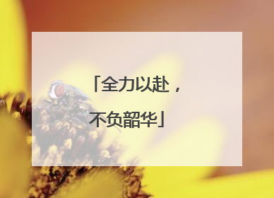 全力以赴，不负韶华