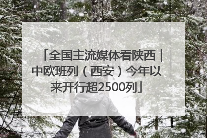 全国主流媒体看陕西｜中欧班列（西安）今年以来开行超2500列