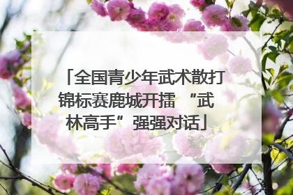 全国青少年武术散打锦标赛鹿城开擂 “武林高手”强强对话