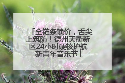 全链条锁价，舌尖上筑防！德州天衢新区24小时硬核护航新青年音乐节