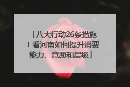 八大行动26条措施！看河南如何提升消费能力、意愿和层级