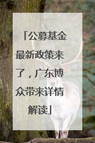 公募基金最新政策来了，广东博众带来详情解读
