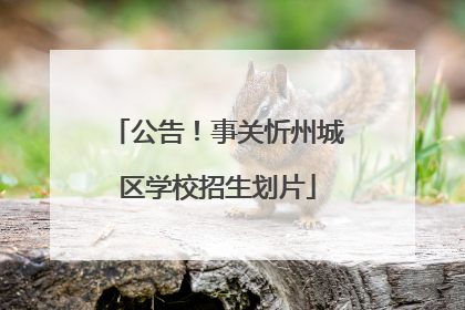 公告！事关忻州城区学校招生划片