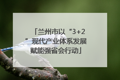 兰州市以“3+2”现代产业体系发展赋能强省会行动