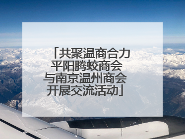 共聚温商合力 平阳腾蛟商会与南京温州商会开展交流活动