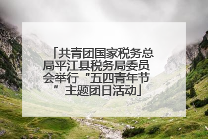 共青团国家税务总局平江县税务局委员会举行“五四青年节”主题团日活动