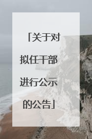 关于对拟任干部进行公示的公告