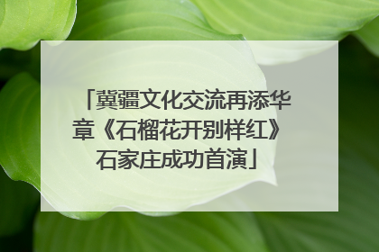 冀疆文化交流再添华章《石榴花开别样红》石家庄成功首演