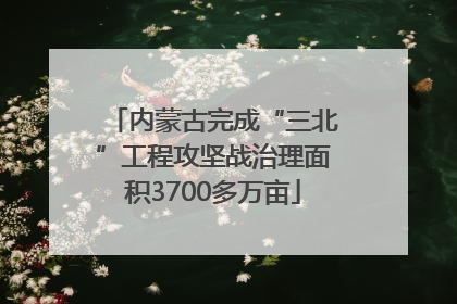 内蒙古完成“三北”工程攻坚战治理面积3700多万亩