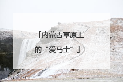 内蒙古草原上的“爱马士”