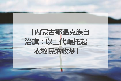 内蒙古鄂温克族自治旗：以工代赈托起农牧民增收梦