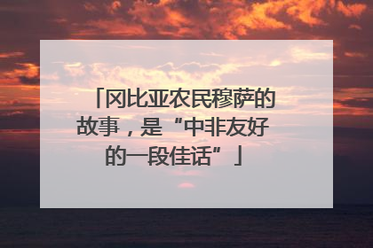 冈比亚农民穆萨的故事，是“中非友好的一段佳话”